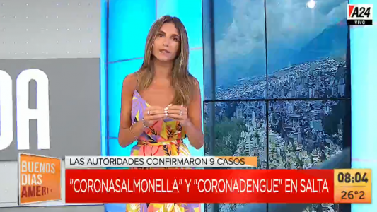 Coronadengue y coronasalmonella: detectan pacientes que padecen al mismo tiempo las dos enfermedades