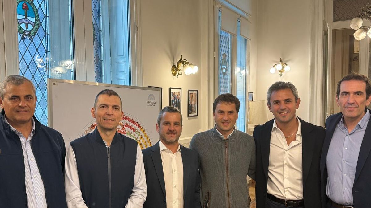 La contundente explicación de un diputado radical con peluca sobre su pase a La Libertad Avanza