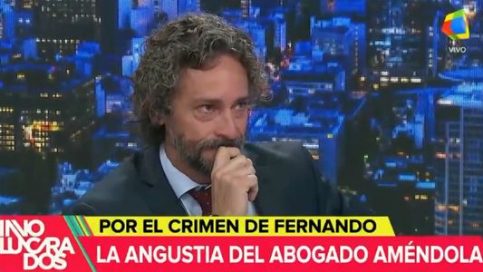 El llanto del abogado de Fernando Báez Sosa: Pudo haber sido mi hijo