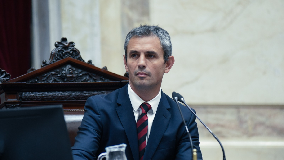 Mart&iacute;n&nbsp; Menem, presidente de la C&aacute;mara de Diputados de la Naci&oacute;n. (Foto: Diputados)