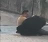 Brutal video: un oso atacó a su cuidador en un parque frente a los horrorizados espectadores