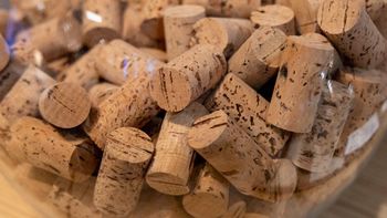 Ahorro de energía: el truco del corcho de vino que te hará gastar menos en electricidad