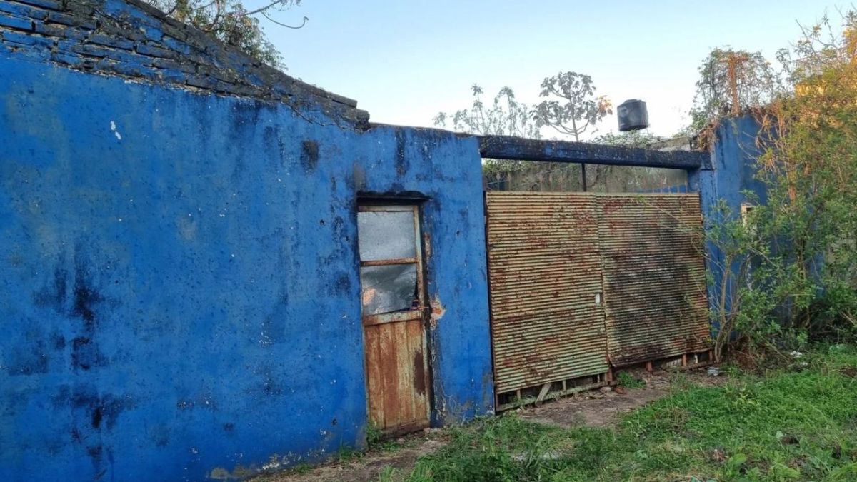 Un vecino saltó el muro por un olor extraño y encontró una escena aterradora dentro de una casa. (Foto: gentileza de Misiones Online)