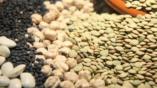 Agricultura: crearon la Mesa Nacional de Legumbres