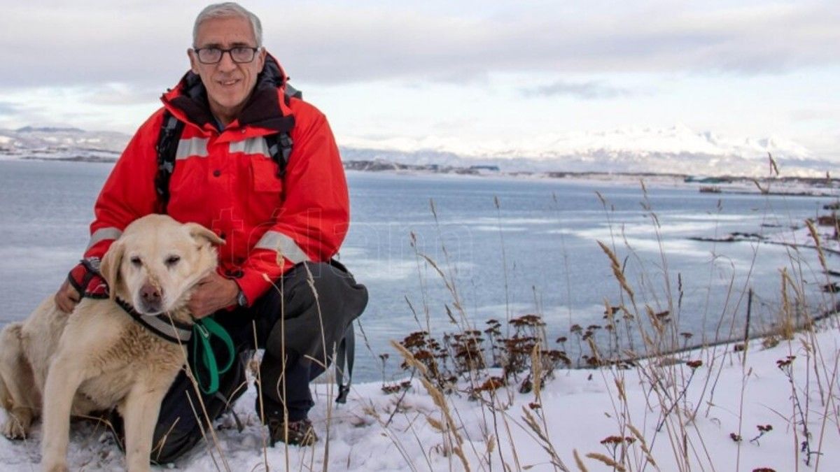 Tango es un labrador de 10 años entrenado en búsqueda de personas para casos de avalanchas. (Foto: Télam)&nbsp; &nbsp;