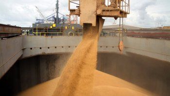 En lo que va del año, la exportación de granos y subproductos aportó USD 25.670 millones a la economía. En lo que va del año, la exportación de granos y subproductos aportó USD 25.670 millones a la economía.