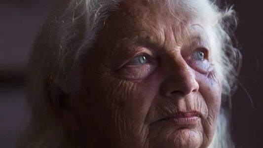 Picnic poético para celebrar el Día de la Primavera