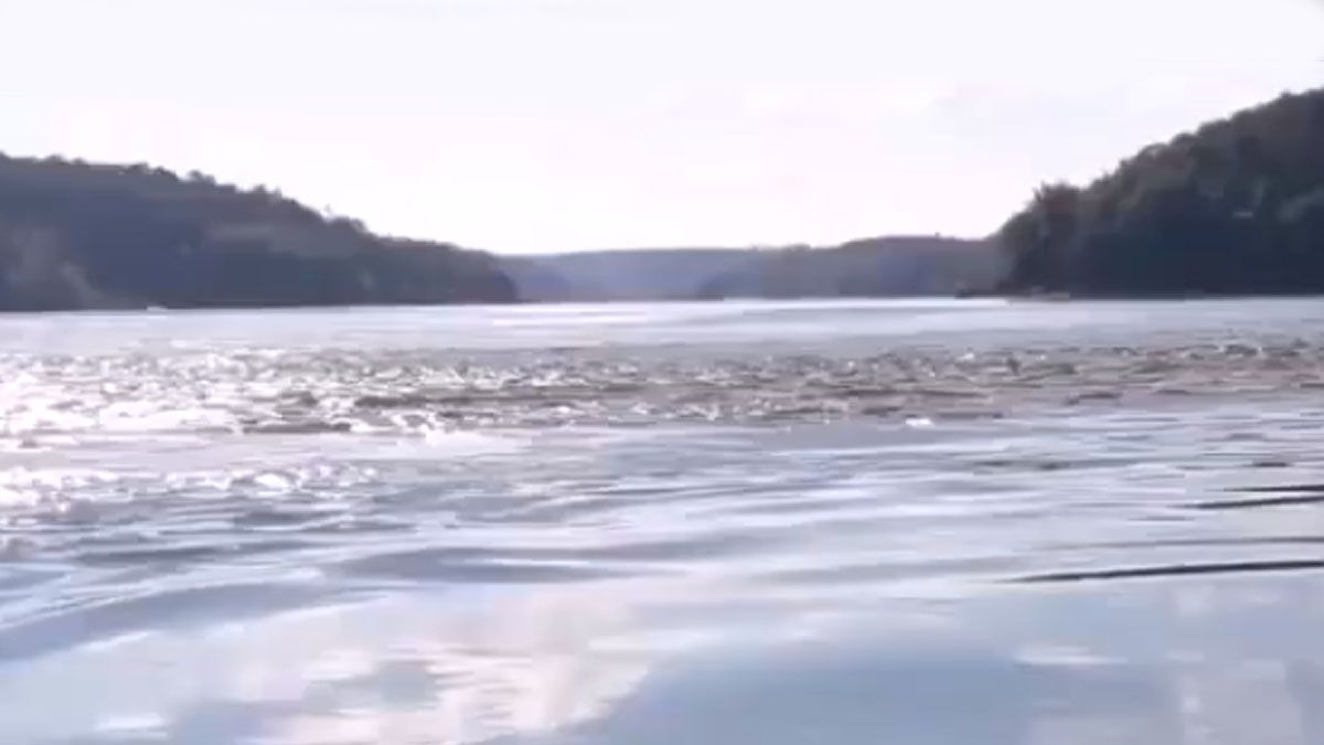 El fenómeno Bairuzú