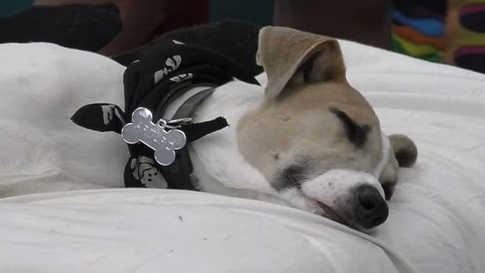 El doloroso accidente de Arturo que volvió a poner en alerta a los fanáticos de Gran Hermano