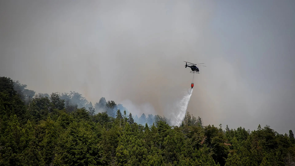 Eliana Armengol considera que el plan de manejo del fuego es insuficiente ante estos incendios forestales.