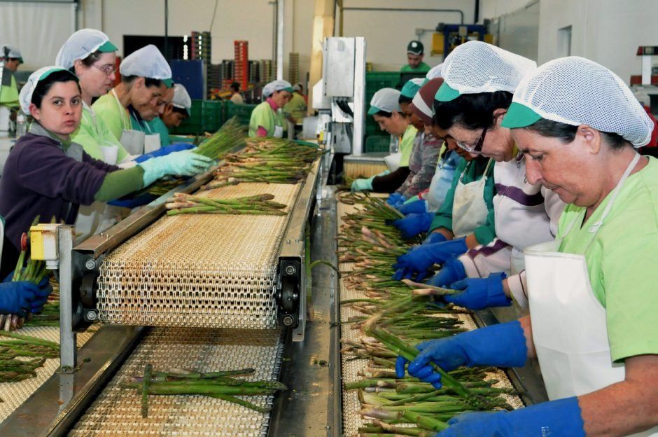 Día de la mujer: la brecha salarial es la misma que hace 20 años