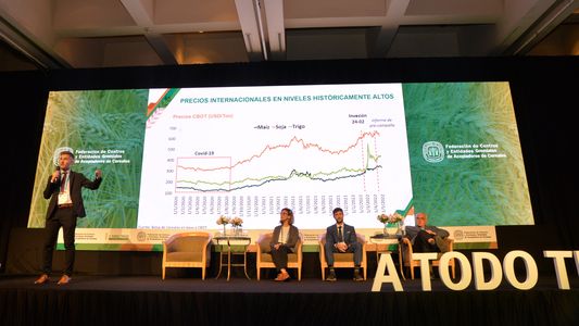 Pronostican una caída en el ingreso de dólares por exportaciones de trigo de la próxima campaña