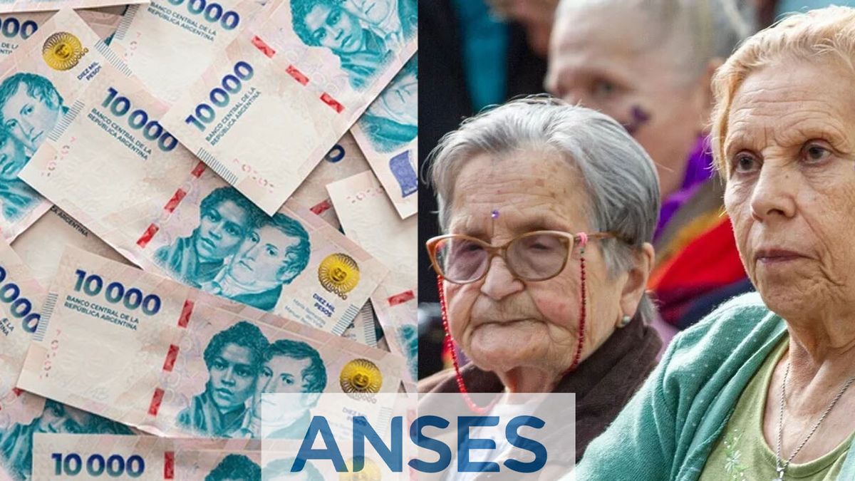 ALERTA de ANSES para JUBILADOS: confirman todos los BONOS y EXTRAS que se cobran en MARZO (Foto: archivo)