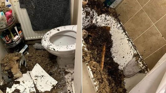 Se derrumbó el techo del baño mientras se bañaba su hija