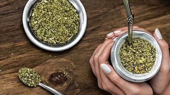 Yerba mate: cayeron las ventas locales pero crecieron las exportaciones
