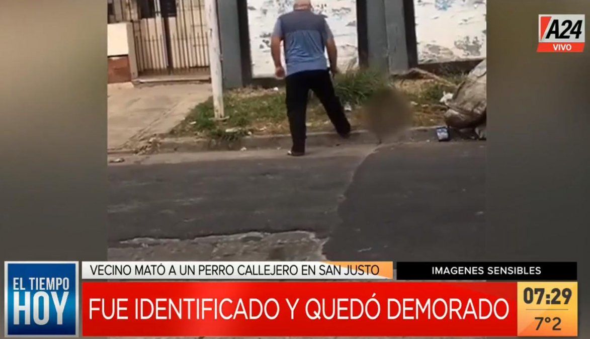 Según el agresor