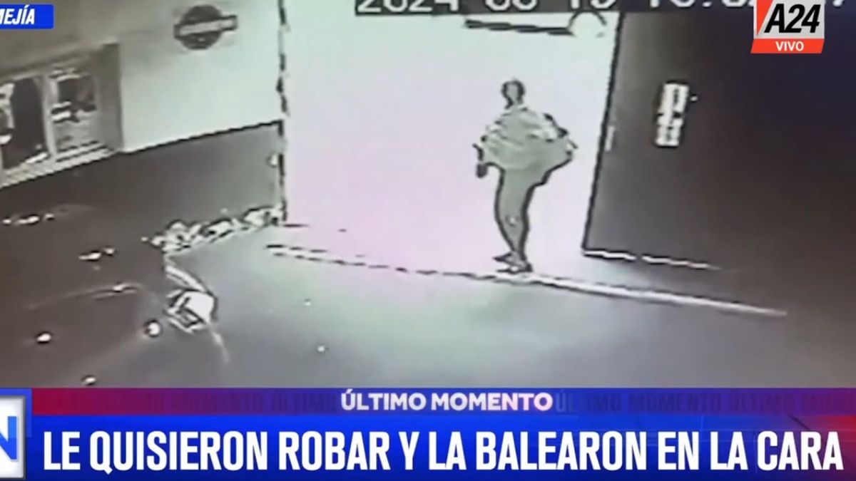 Una mamá salvó a su hijo de un violento intento de robo en Ramos Mejía. (Foto: captura de pantalla)