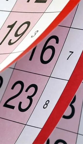 Un nuevo feriado el 11 de diciembre: quiénes podrán disfrutarlo y qué se celebra