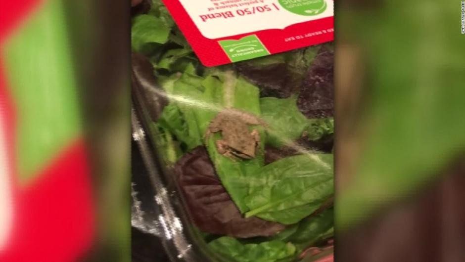 Compró una ensalada orgánica y le vino algo asqueroso adentro