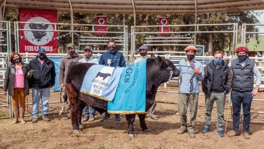 Pagan 840 mil pesos por el Gran Campeón Angus de Huinca Renancó