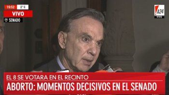 Se estiran los tiempos: Pichetto admitió que la ley del aborto va a volver a Diputados