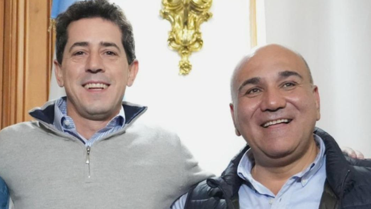 Unión por la Patria: Wado de Pedro oficializó su precandidatura a presidente y anunció a Juan Manzur como vice. (Captura)