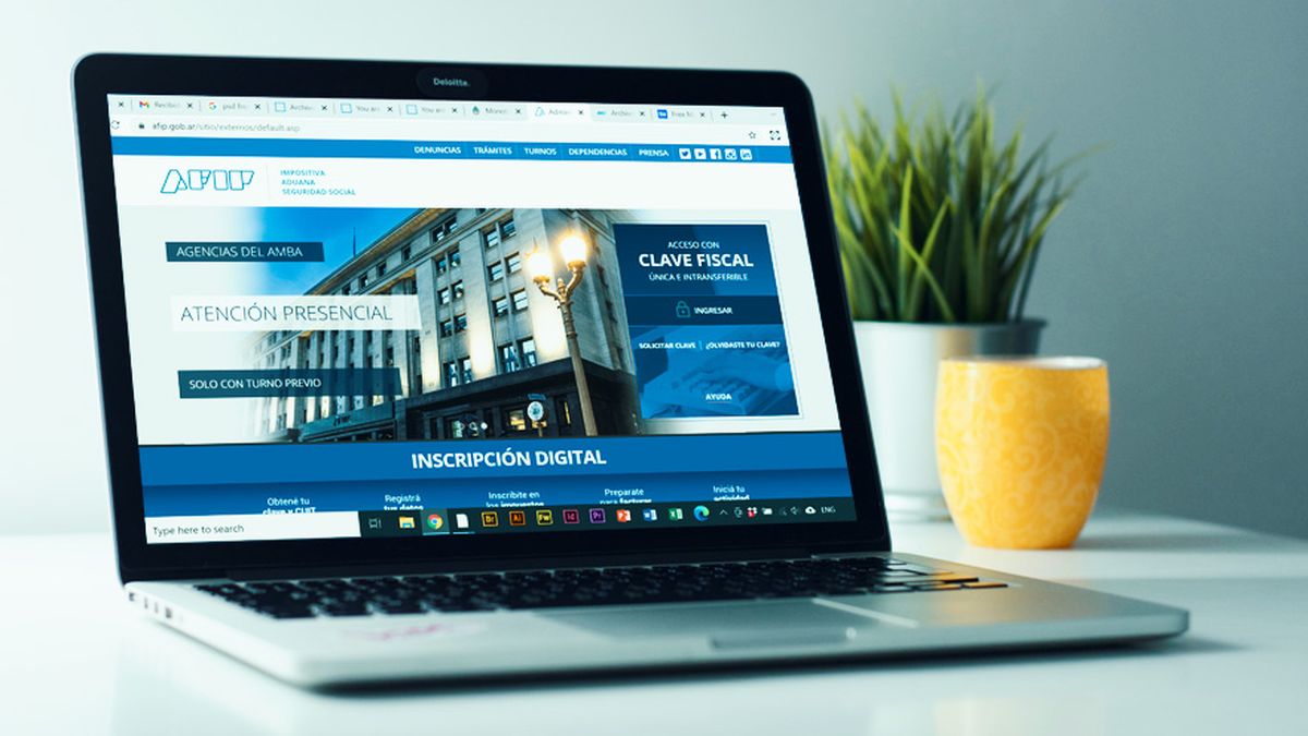 AFIP: cómo pedir el reintegro del 35% por viajes al exterior hechos en 2023. (Foto: archivo)