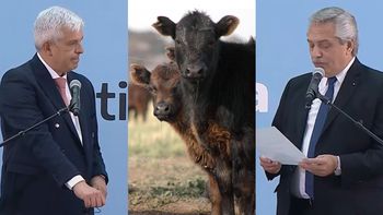 El primer desafío del ministro Julián Domínguez: la cadena de la carne reclamó por las exportaciones