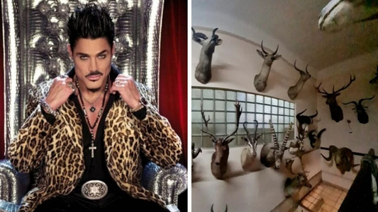 Familia Fort: en la fábrica de chocolates tenían más de 50 animales embalsamados