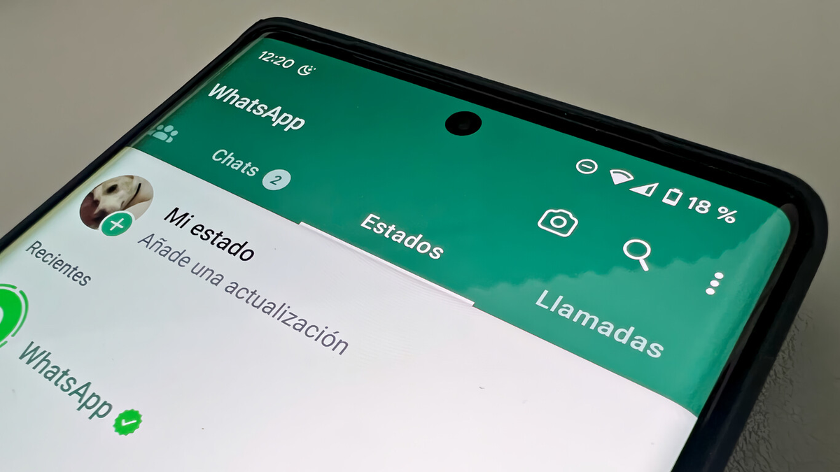 Mirá cómo mencionar en privado en los estados de WhatsApp. Foto: Internet.