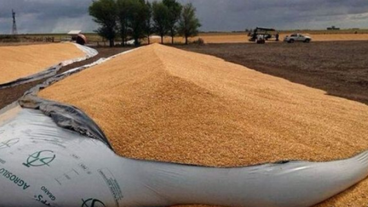 Incorporan la figura del instigador en un proyecto de Ley para penar los ataques a silobolsas