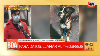 El desesperado pedido de una familia a la que le robaron a su perra