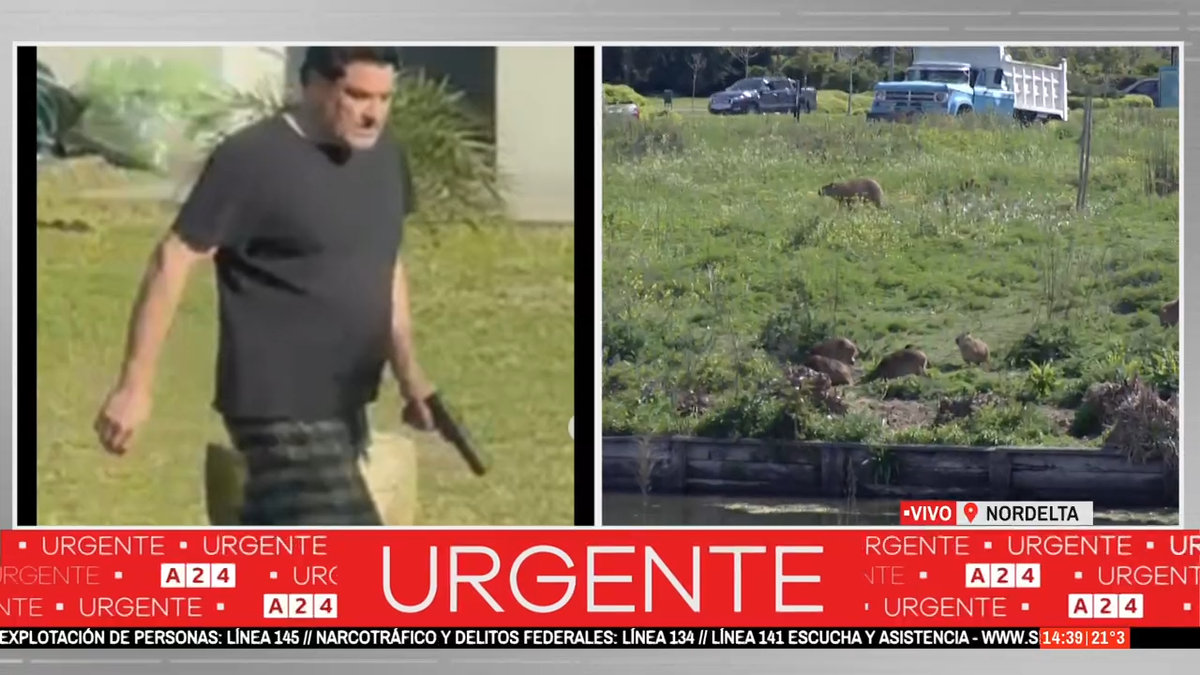 (Foto: captura de pantalla)