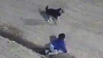 El bebé hallado en la calle, junto a su mascota (Foto: captura de video).