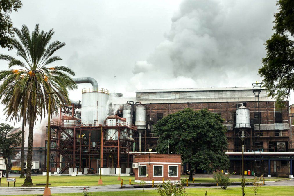Distribuyen entre 15 ingenios el cupo para exportar azúcar a Estados Unidos