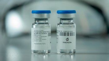 La Anmat autorizó el suero equino para el tratamiento de coronavirus