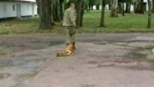 Encontraron muerto al militar acusado de torturar y asesinar a un perro