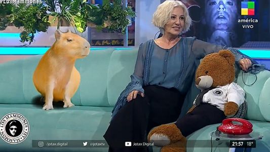 Mercedes Morán reveló que hace telepatía con animales