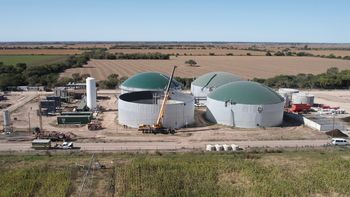 Este argentino construye la primera cripto granja que no daña el ambiente y funciona con desechos y excremento animal