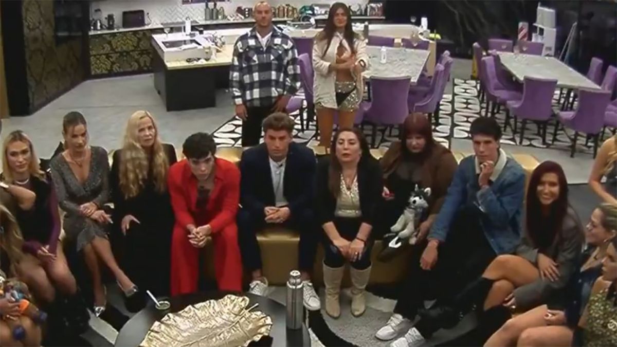 gh participantes