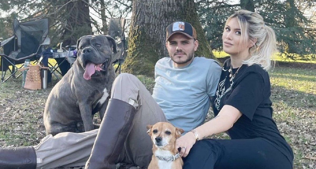 Mauro Icardi trató de perra a Wanda Nara y le bloquearon el posteo