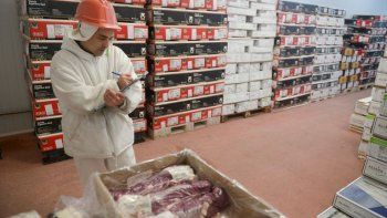 China sigue traccionando: las exportaciones de carne vacuna subieron 24% en mayo