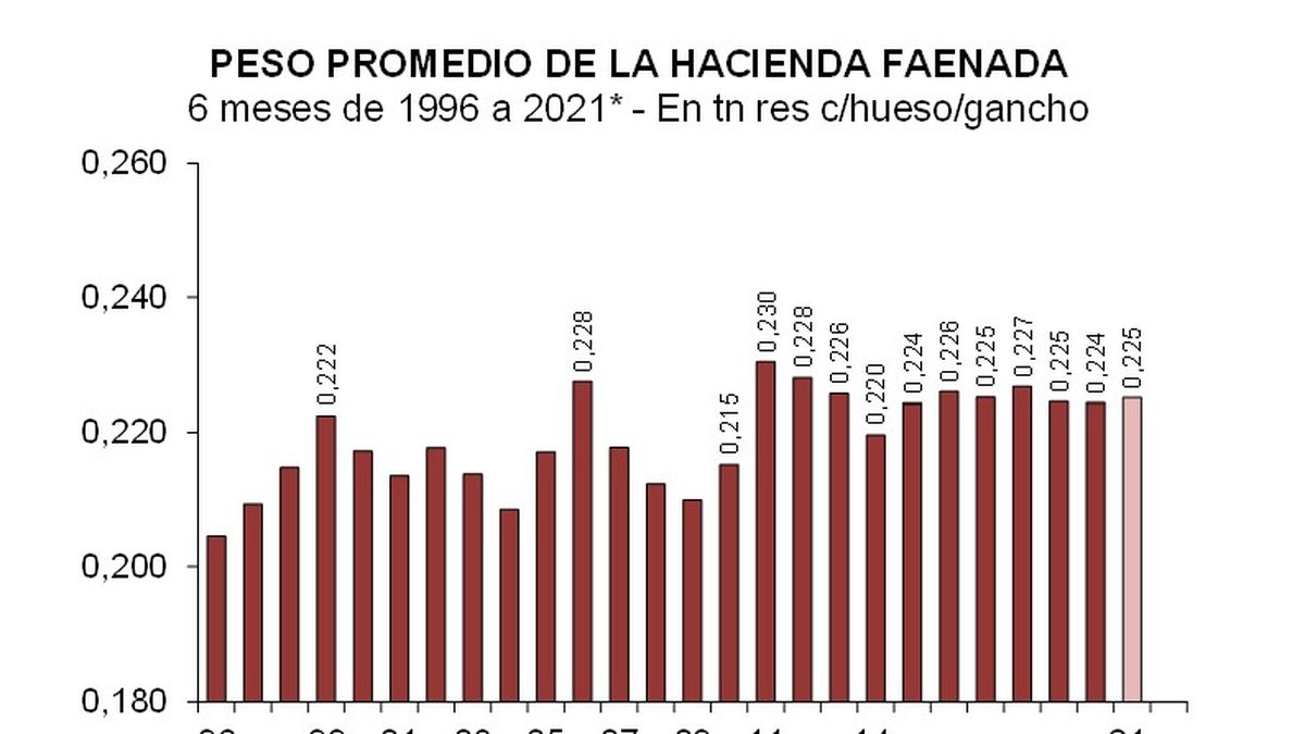 El precio de la carne no logra bajar en algunos cortes; en la industria apuntaron contra las trabas a la exportación.
