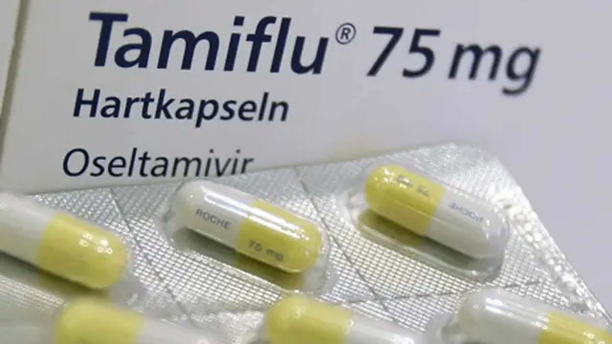 Tras la aparición en Argentina de la variante subclado K de la gripe A (H3N2)