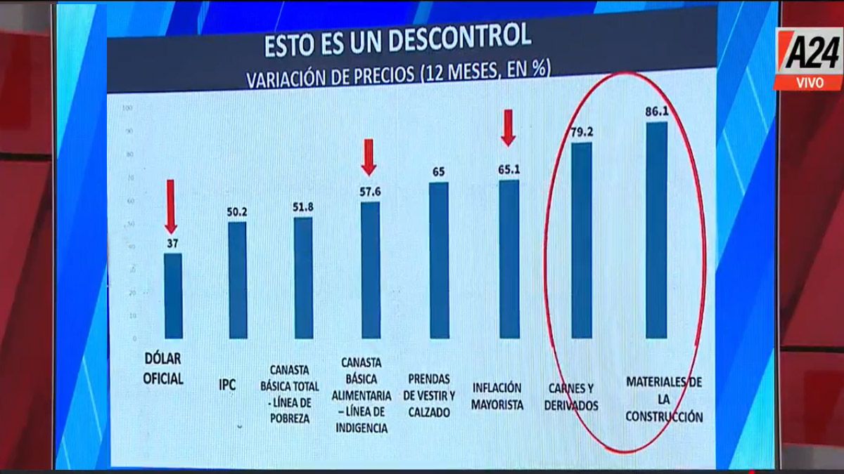 El dólar oficial subió solo un 37% mientras que la inflación general ya va por el 50% y los alimentos treparon al 57,6% anualizado (Foto: Captura de TV)