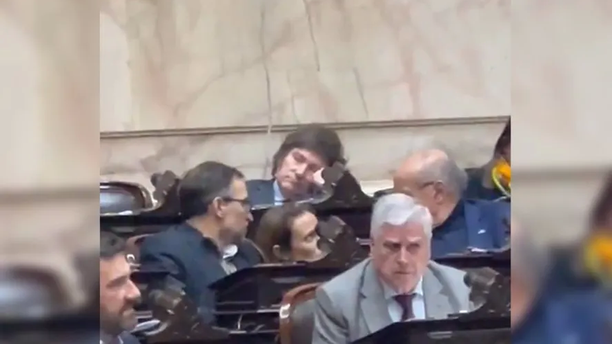Javier Milei se durmió en su banca. (Foto: captura video Twitter)