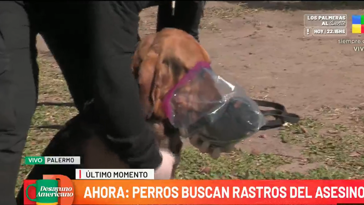 La desesperada búsqueda con perros para atrapar al asesino de Mariano Barbieri en Palermo