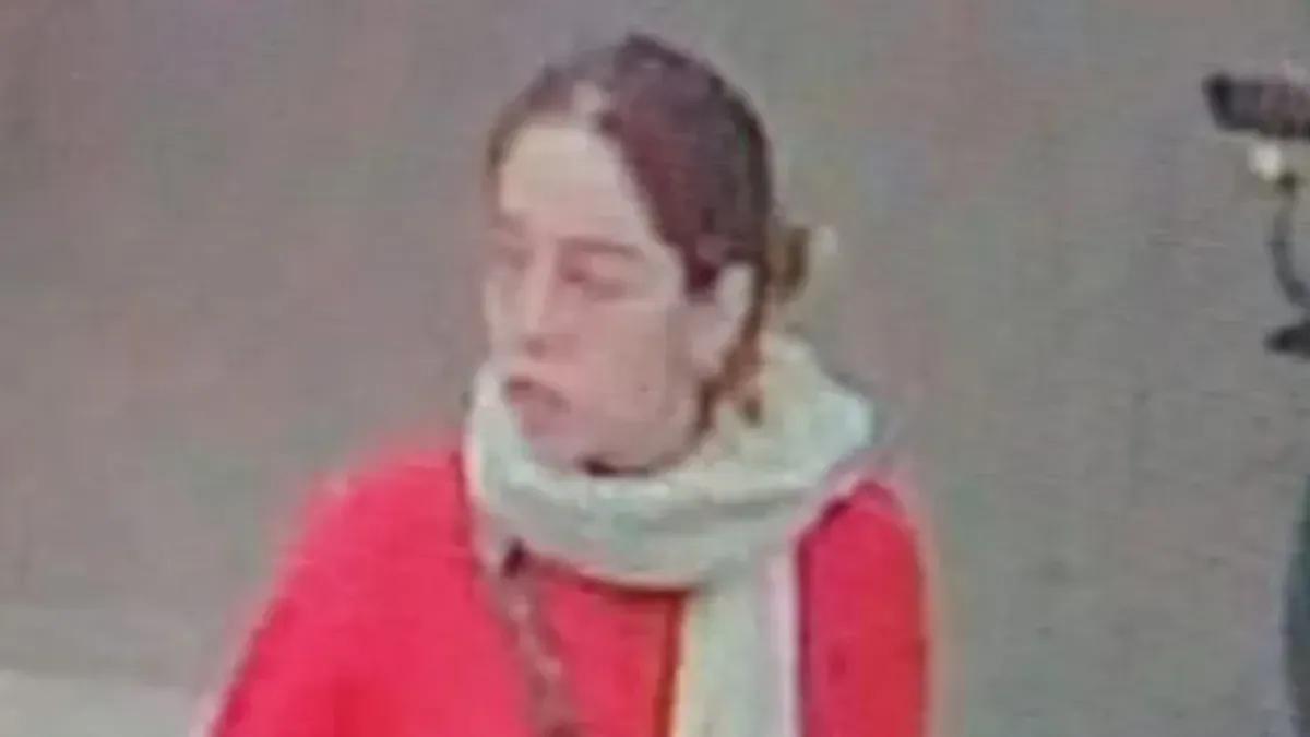 La &uacute;ltima im&aacute;gen registrada por las c&aacute;maras de seguridad. (Foto: captura)