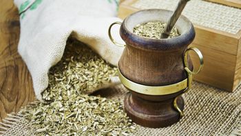 ¿Se consume más yerba mate?: qué pasó en el primer trimestre del año
