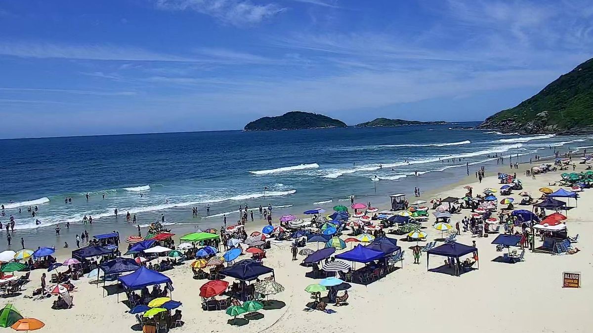 Identificaron la causa de las infecciones en las playas de Brasil.